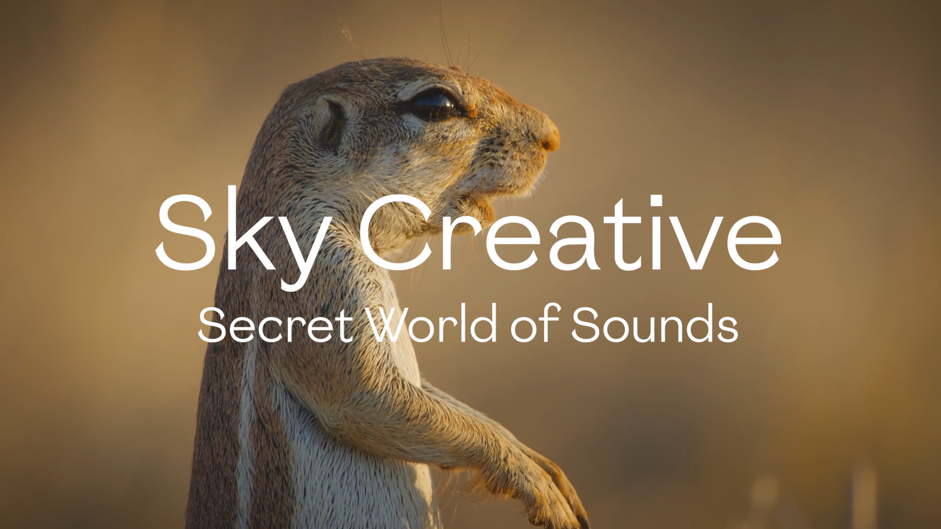 Sky Creative - Secret World of Sounds - Bubble TV